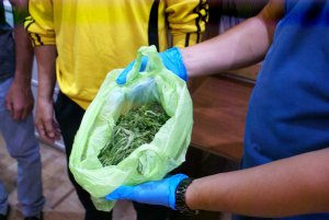 В Похвистнево полицейскими задержан местный житель с марихуаной